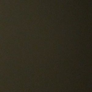 Meet your Posher, Tanya